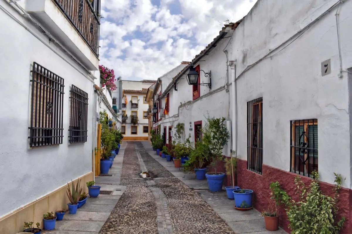A quiet whitewashed street with plants