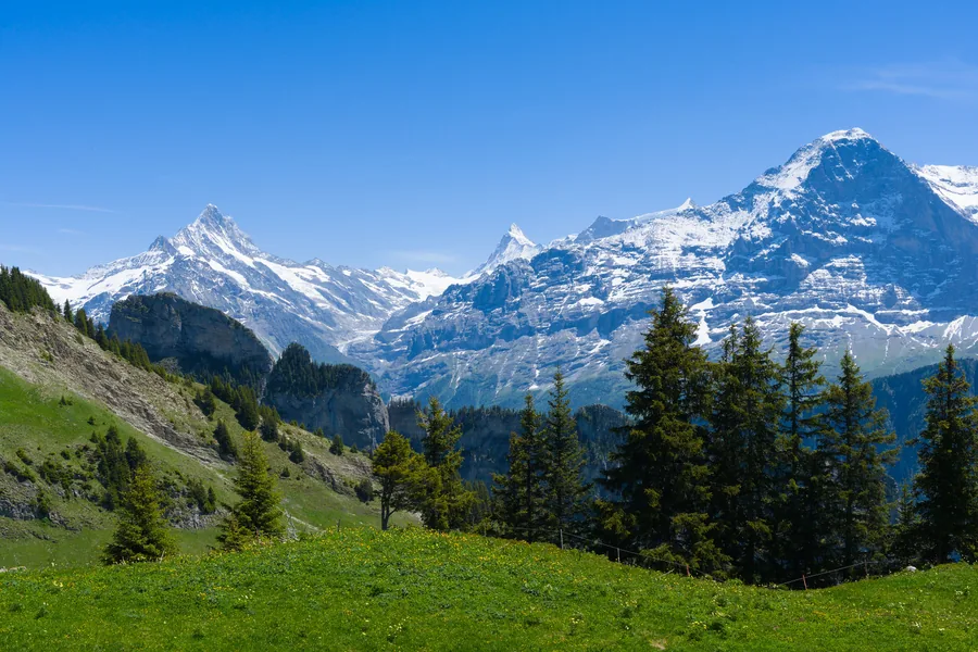 MINARETS & ALPS