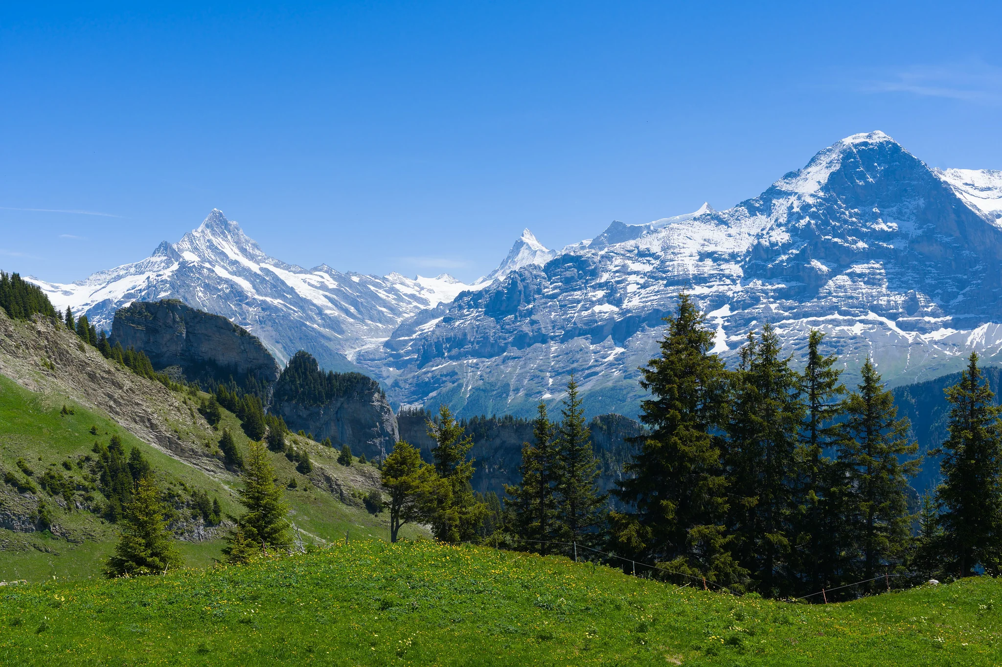 MINARETS & ALPS