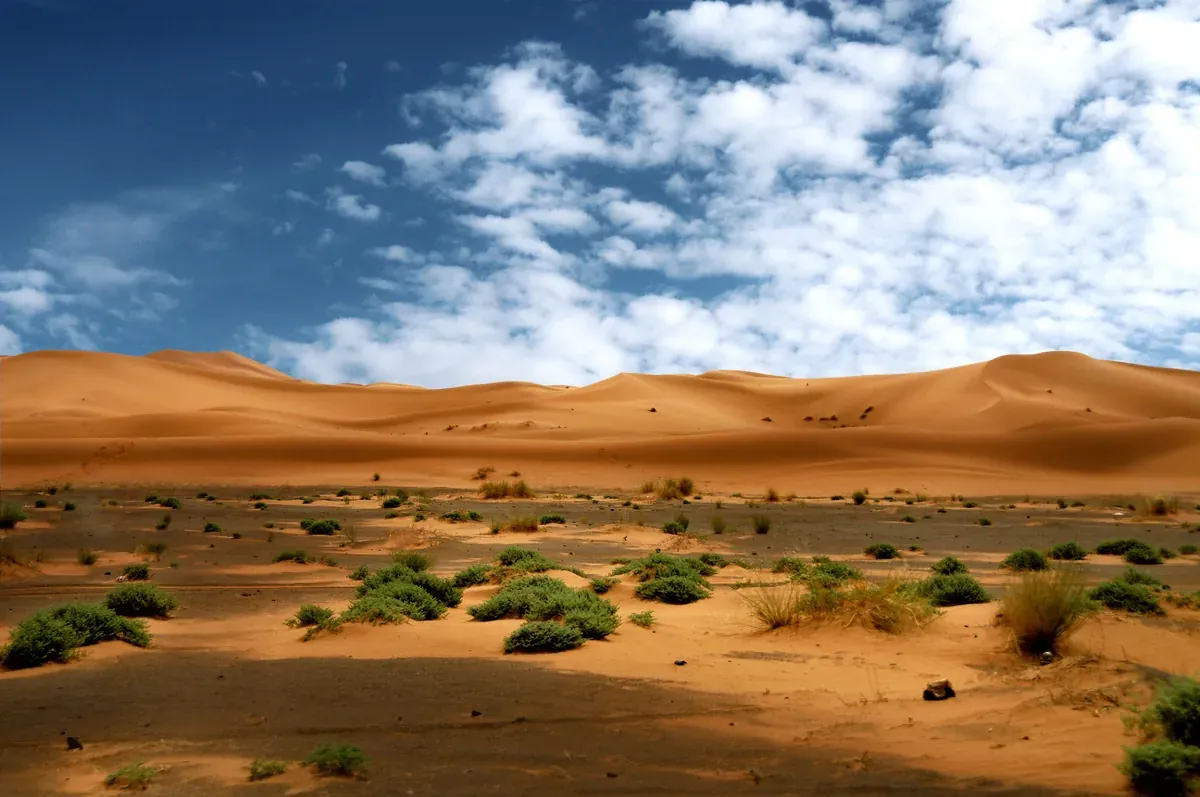 Muslim Tours in Morocco